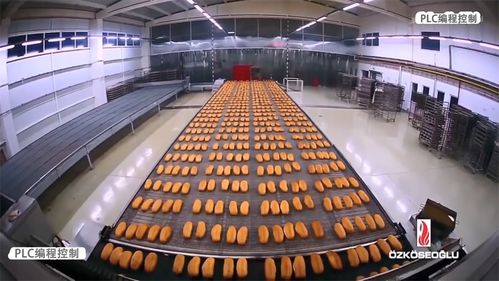 PLC編程控制 賦能食品生產線自動化，驅動企業管理升級